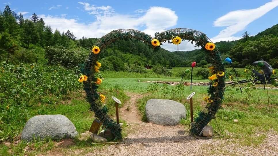 太白 ひまわり祭り